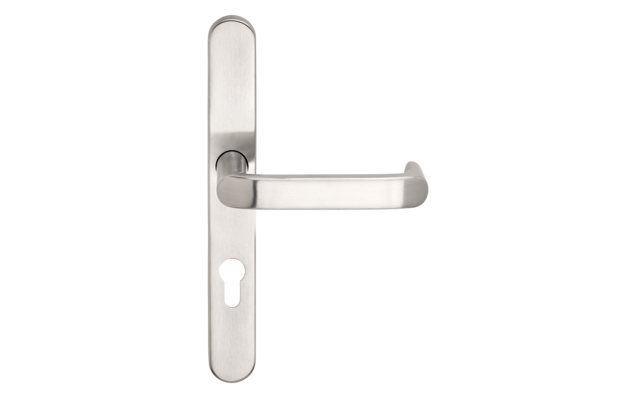 DIRIGENT poignée de porte moderne en acier inoxydable avec plaque longue