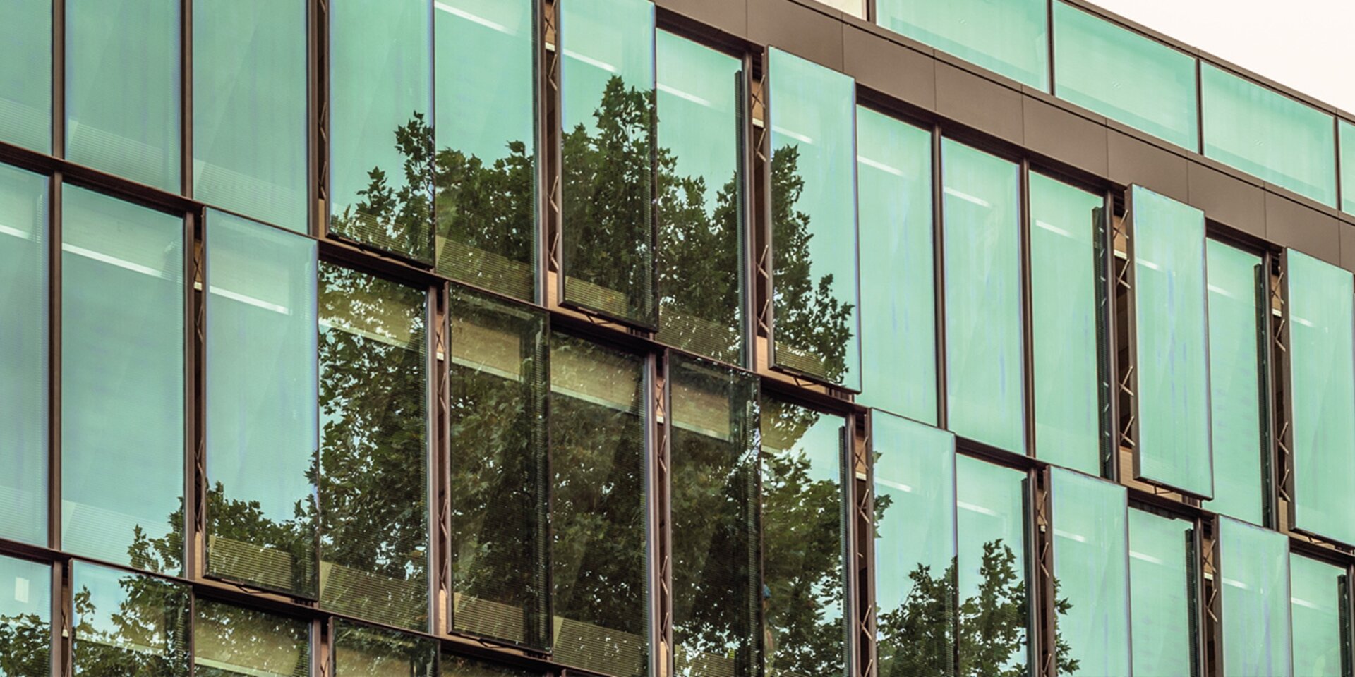 façade vitrée avec verre de protection solaire vert