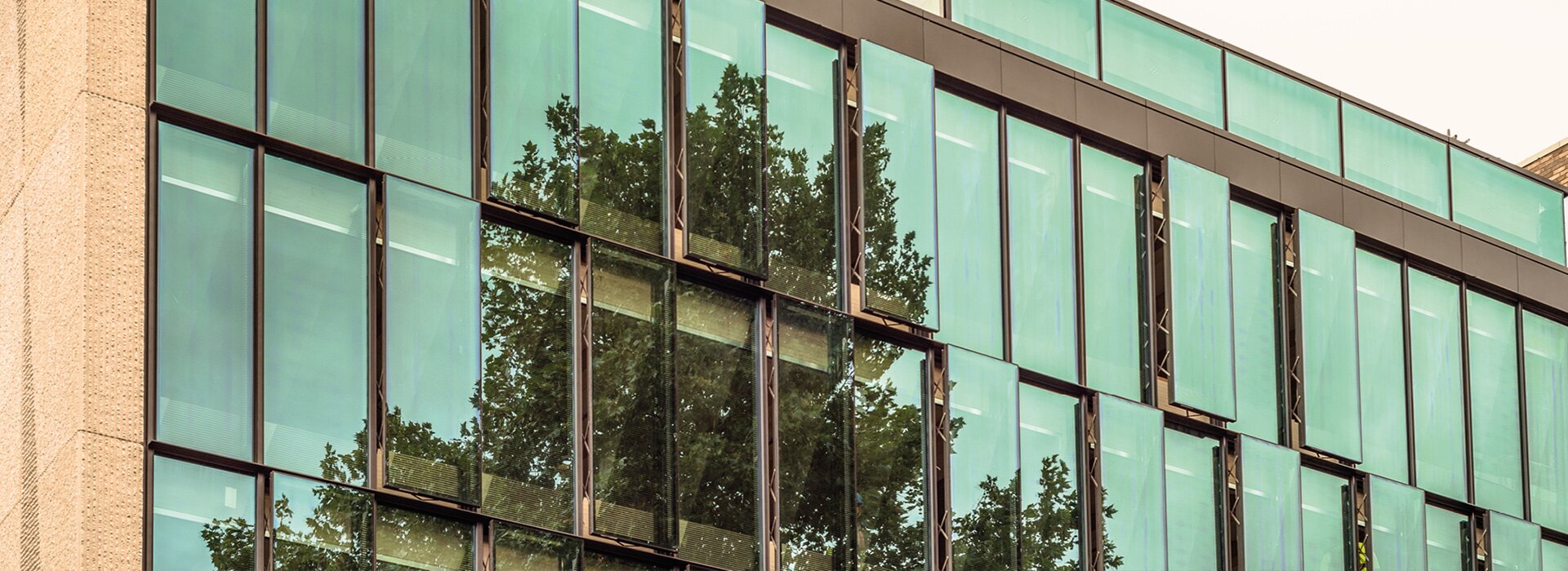 façade vitrée avec verre de protection solaire vert