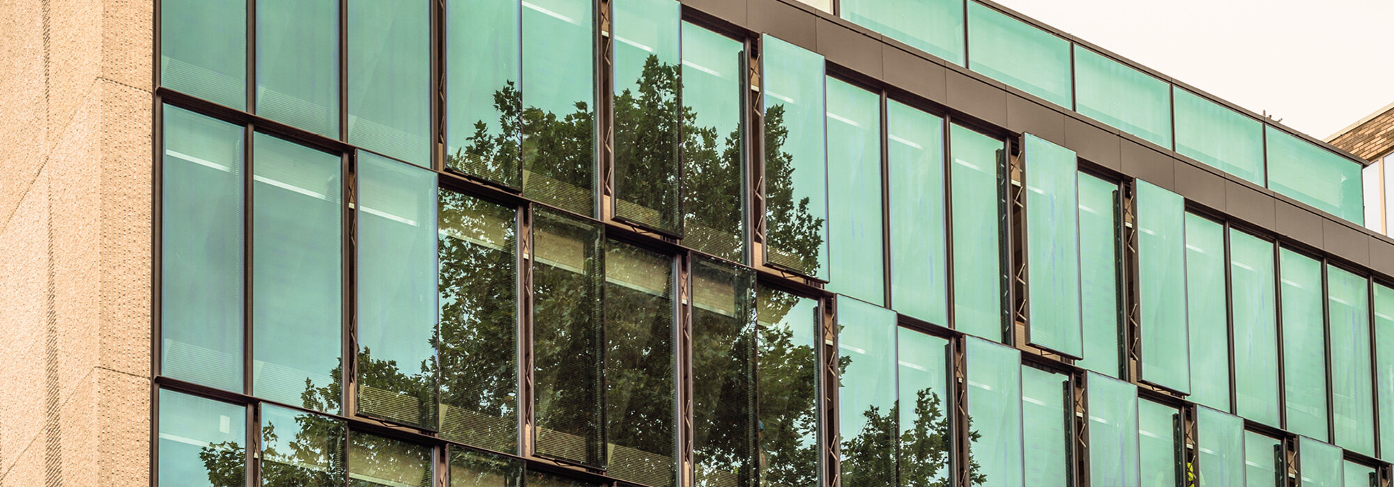 façade vitrée avec verre de protection solaire vert