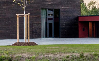 Bâtiment commercial moderne avec arbre et fenêtre