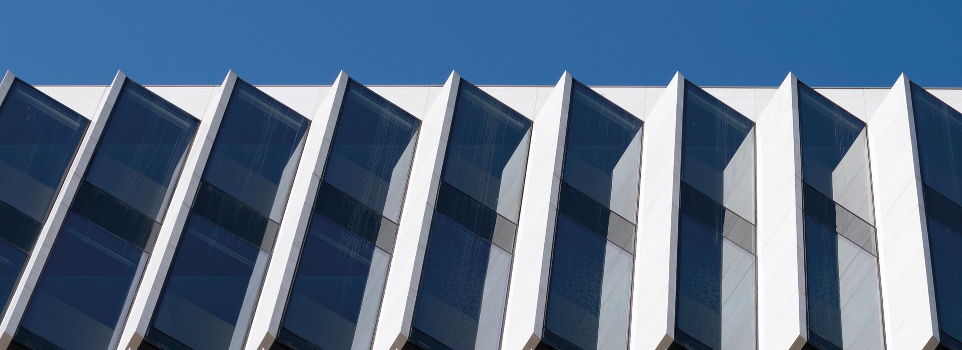 Bâtiment moderne avec une façade claire, devant un arrêt animé et la vie urbaine