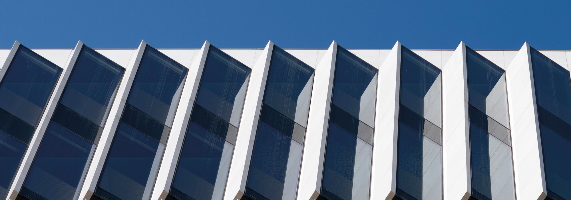 Bâtiment moderne avec une façade claire, devant un arrêt animé et la vie urbaine