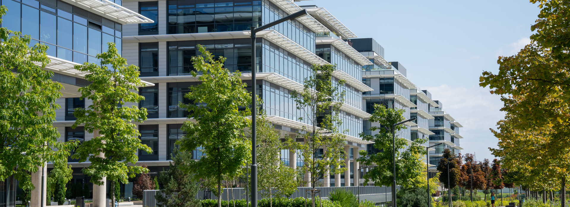 Bâtiment commercial moderne avec beaucoup de vitrage et une allée végétalisée sous un ciel bleu