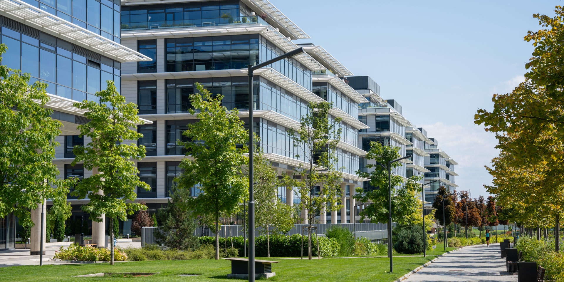 Bâtiment commercial moderne avec beaucoup de vitrage et une allée végétalisée sous un ciel bleu